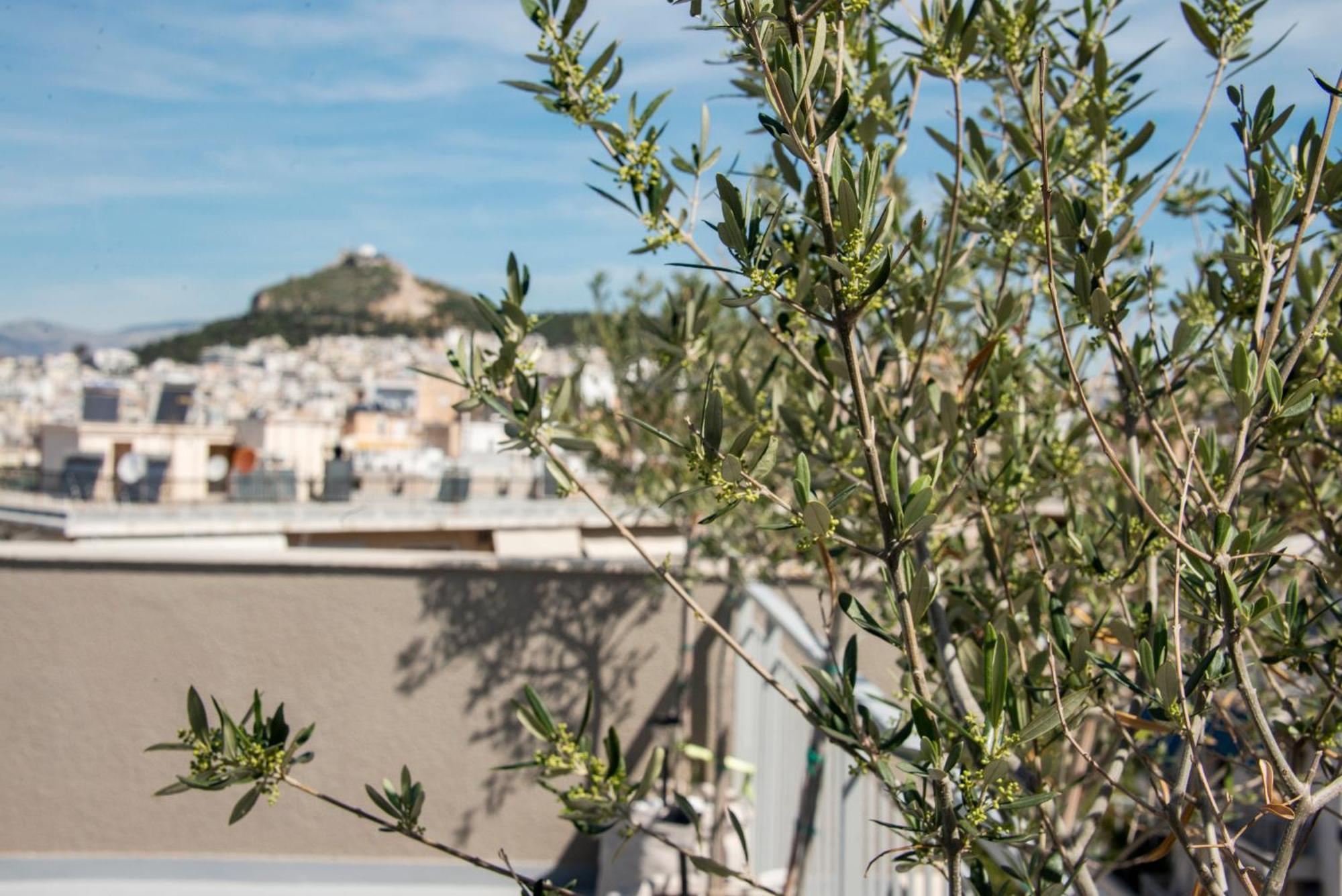 Apartamento The Athenian Oasis Exterior foto